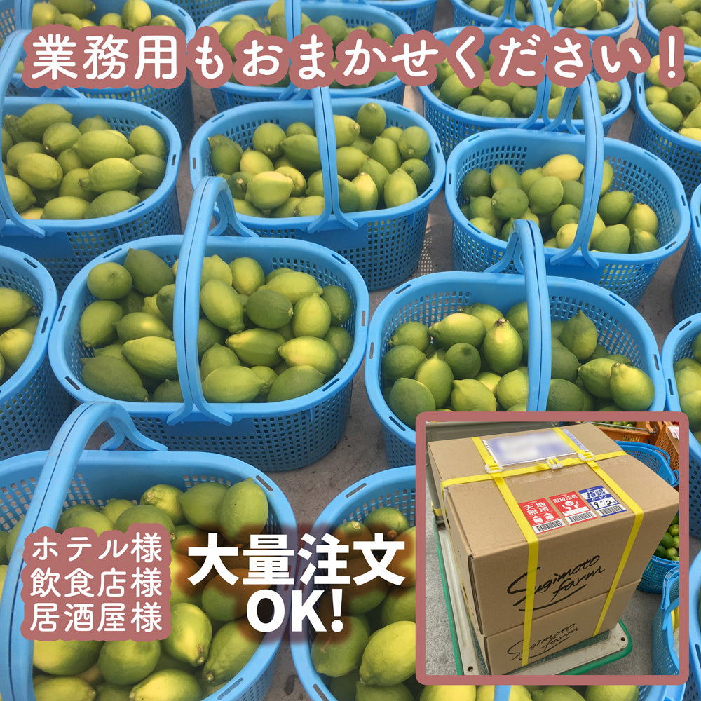 国産グリーンレモン