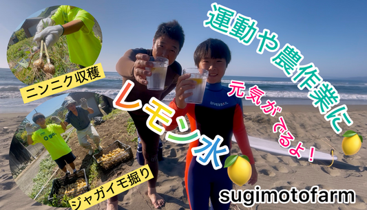 次男のコースケ君と過ごした日曜日の出来事をまとめてみました！！
