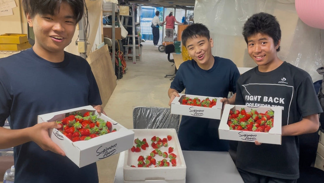 sugimotofarmに大方中学校の生徒たちが職場体験に来ました！！