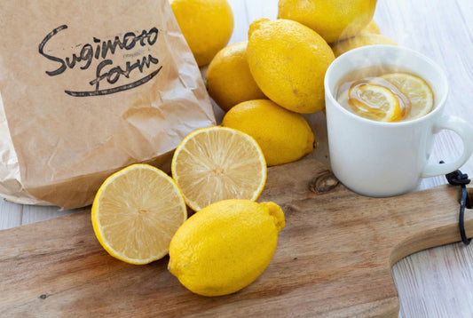 冬に味わう国産追熟レモンの魅力｜グリーンレモンを追熟させた香りと酸味を農家が解説