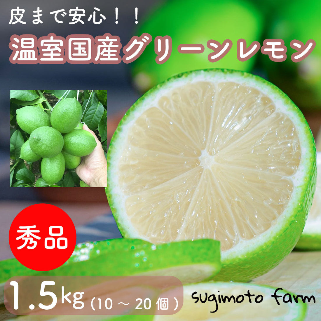皮まで安心！！温室国産グリーンレモンはスクスク育ってます！！