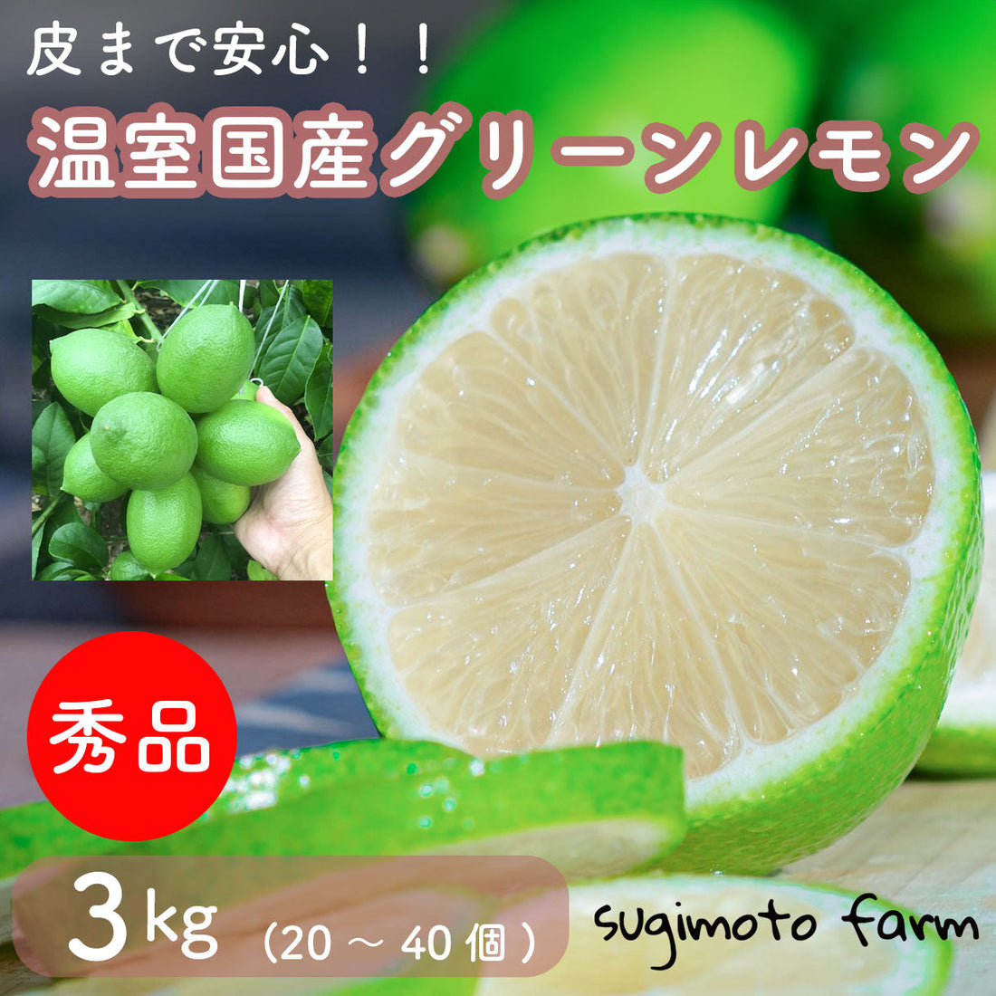 皮まで安心！！sugimotofarmの温室国産グリーンレモンの販売スタート！！
