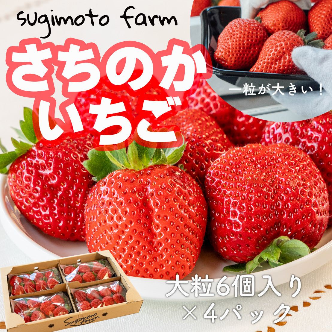 さちのかいちご – 杉本ファーム sugimotofarm