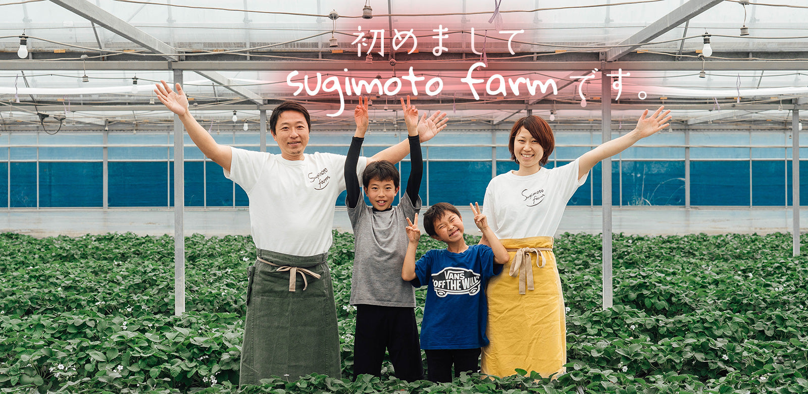 SugimotoFarmについて – すぎもとファーム sugimotofarm