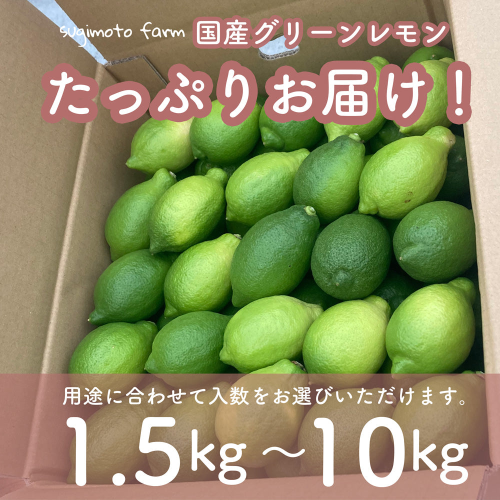 温室国産グリーンレモン – すぎもとファーム sugimotofarm