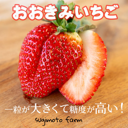 おおきみいちご