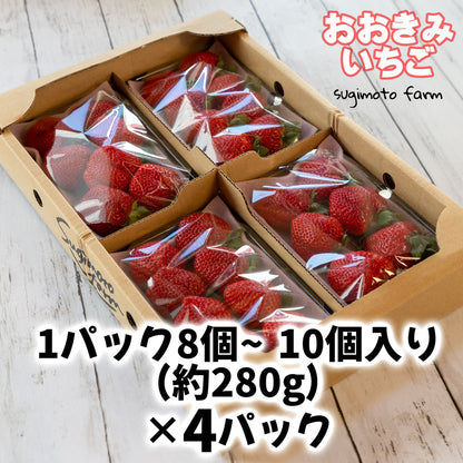 おおきみいちご