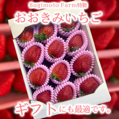 おおきみいちご