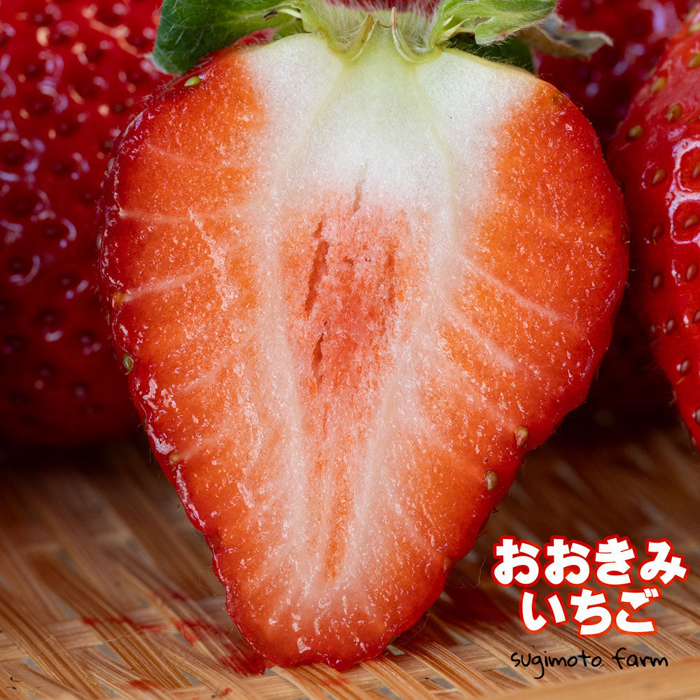 おおきみいちご