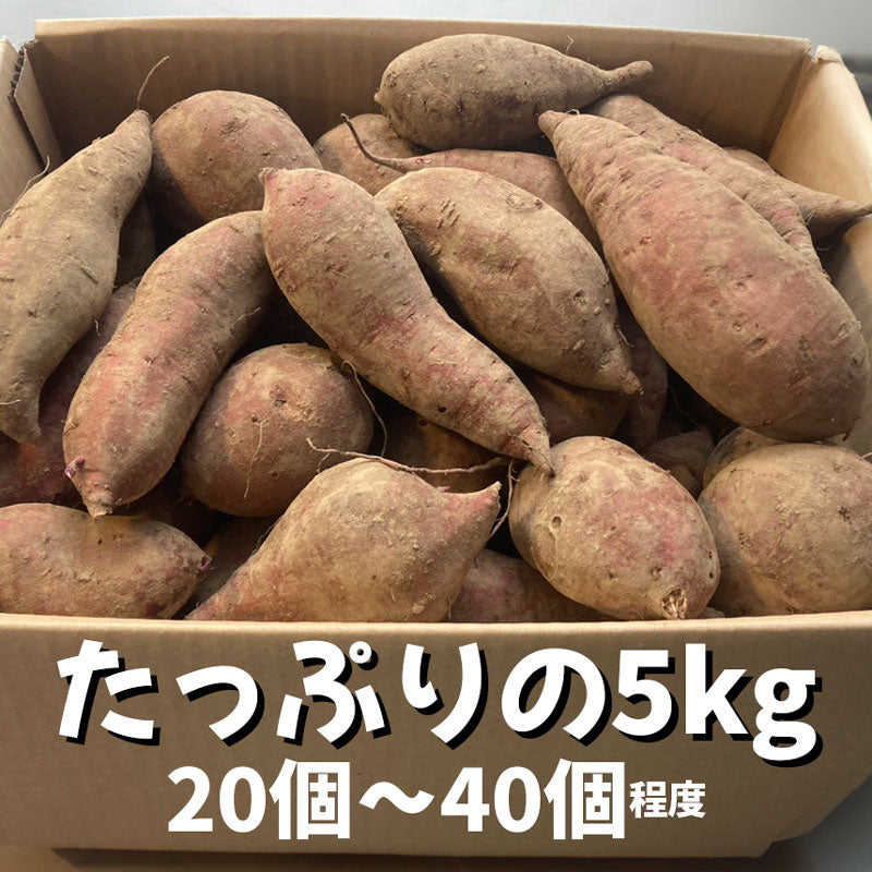 有機栽培サツマイモ – 杉本ファーム sugimotofarm